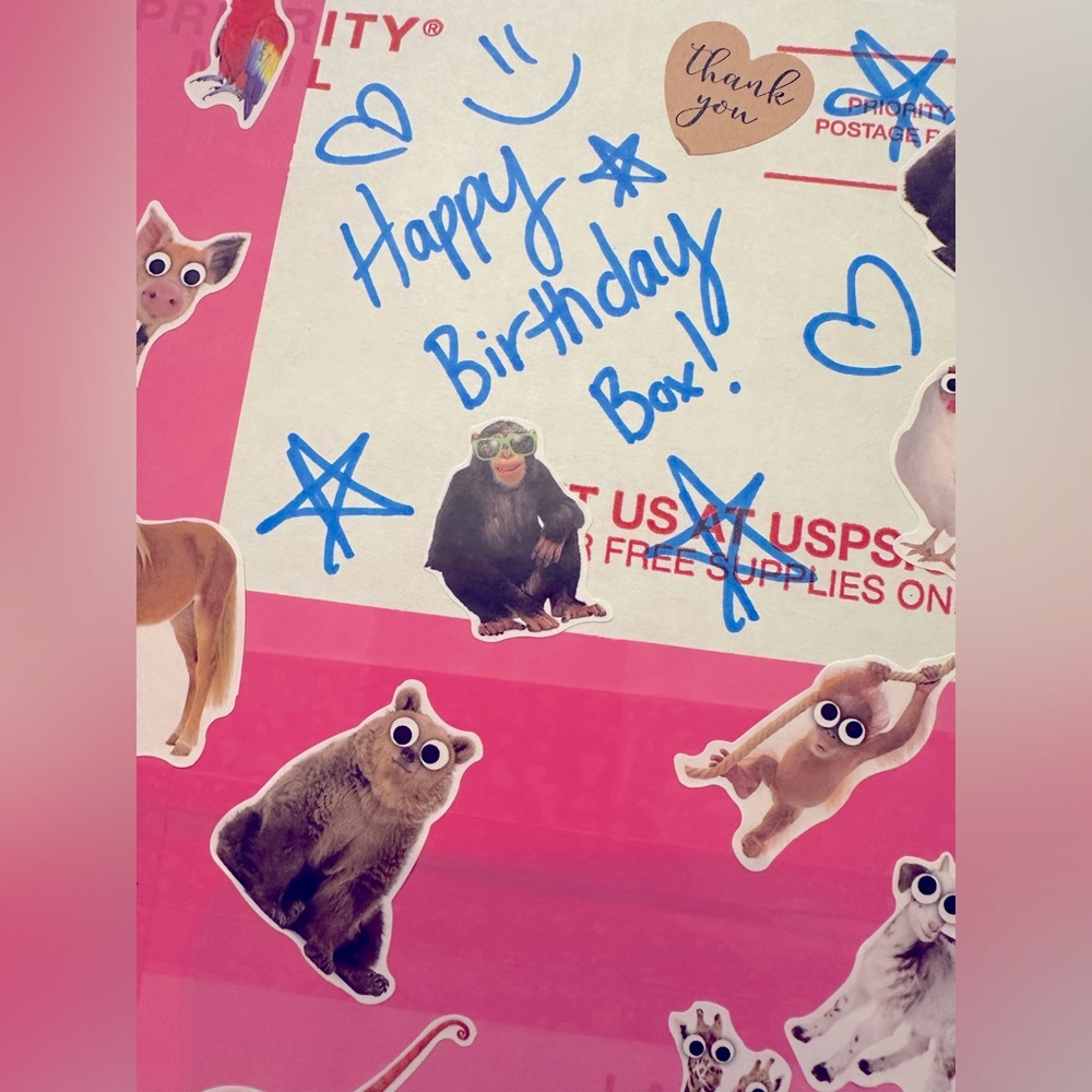 🥳Birthday Box! PARTY IN A BOX! 📦 100% happiness guaranteed - Picture 2 of 7